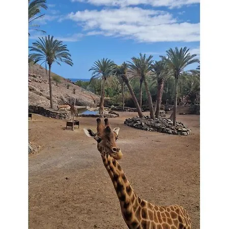 Sol 18 Comfortable Villa La Pared (Las Palmas)